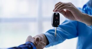 rentabilite voitures securite occasion